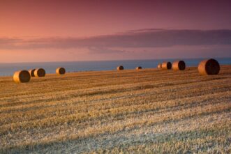 Wandbild auf Alu Dibond: Strohballen im Morgenlicht