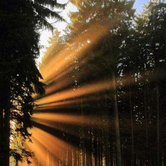 Wandbild Sonnenstrahlen im Westerwald