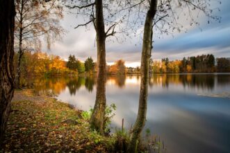 Wandbild Westerwald: der Erlenhofsee im Kannenbäckerland