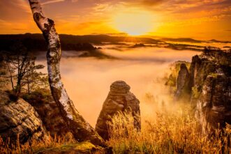 Wandbild: Nebel im Elbsandsteingebirge bei Sonnenaufgang.