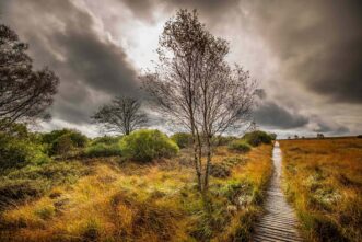 Nationalpark Hohes Venn im Herbst