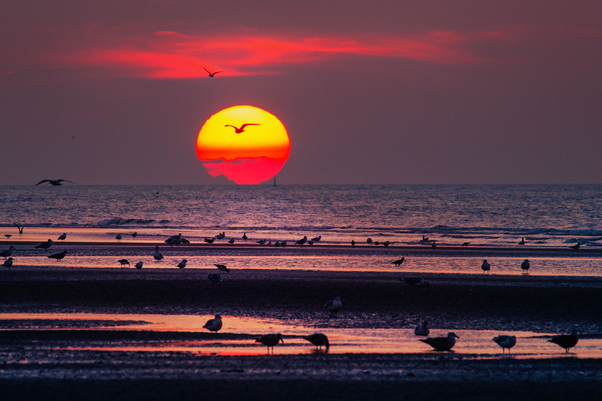 Sonnenuntergang am Meer in Belgien bei Zeebrugge.