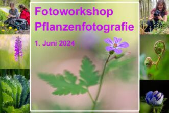 Fotoworkshop Pflanzenfotografie Westerwald 2024