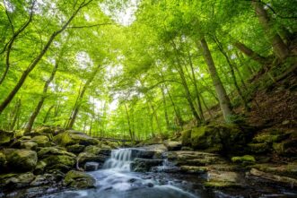 Holzbachschlucht im Westerwald