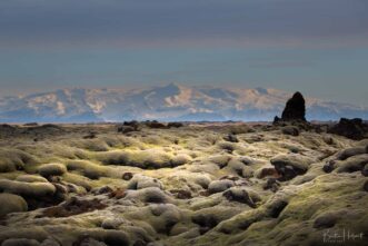 Lavafeld Eldhraun Island