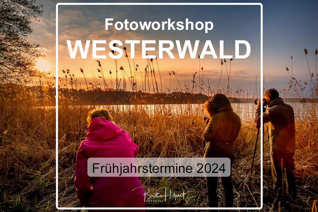 Fotoworkshop Landschaftsfotografie Westerwald 2024