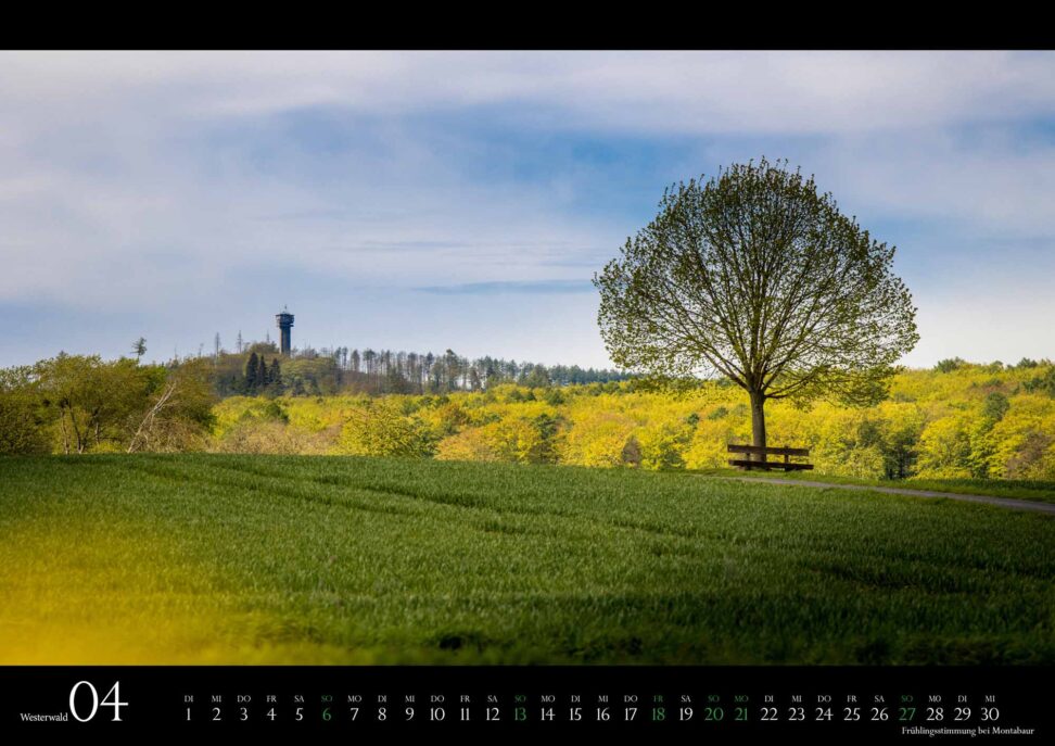 April Monatsblatt des Wandkalenders Westerwald 2025: Frühlingsstimmung bei Montabaur