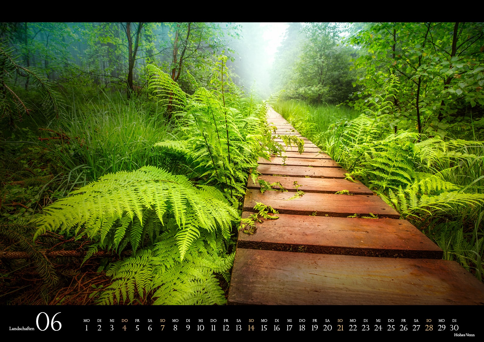 Landschaftskalender 2026 Alpen-Nordsee 06