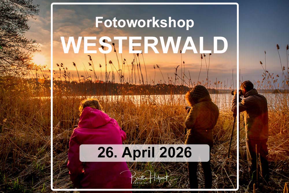 Infoschaltfläche zur Fotoworkshop Westerwald 2026