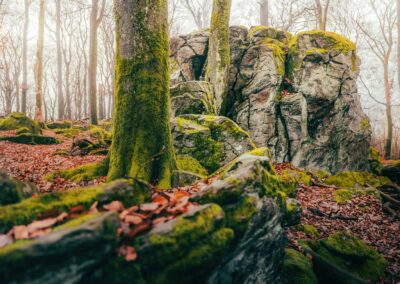 Basalt am Malberg - Fotoausstellung Westerwald