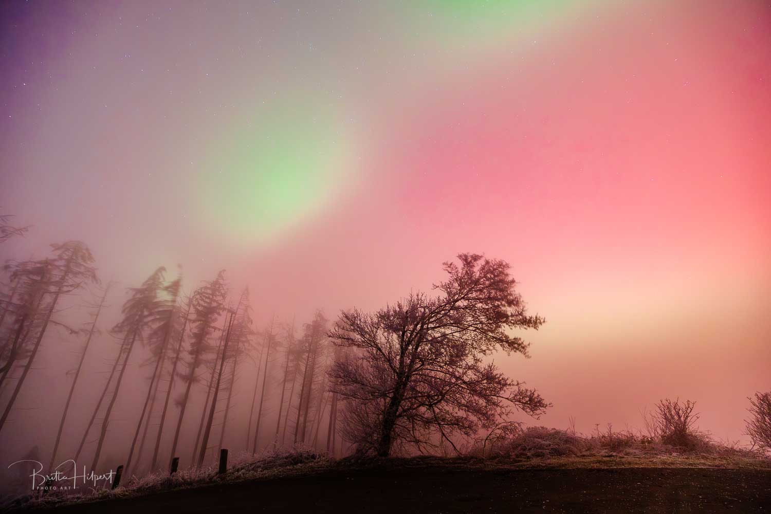 Westerwald: Polarlicht zauber eine bizarre Stimmung zwischen Nebelschwaden auf dem Köppel im Westerwald.