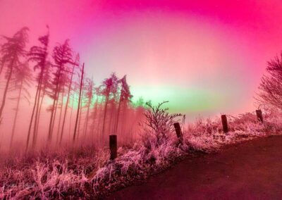 Magentafarbenes Polarlicht zwischen Nebelschwaden auf dem Köppel im Westerwald mit Raureif und winterlicher Landschaft