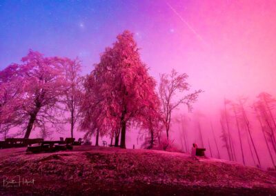 Westerwald: Winterliche Szenerie mit Picknickbänken auf dem Köppel im Polarlicht