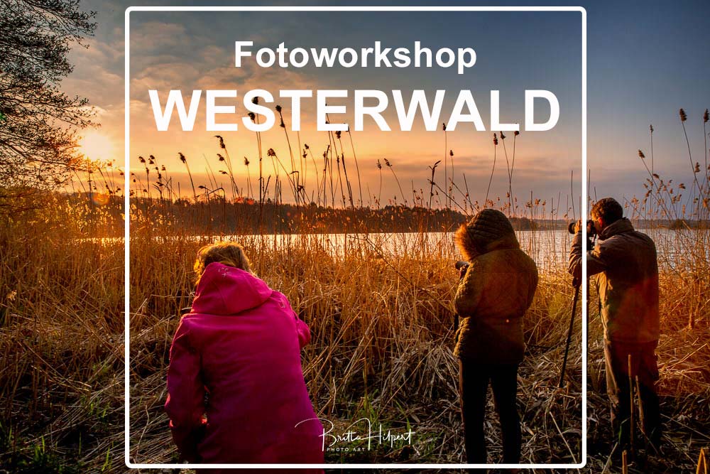 Fotoworkshop Westerwald Landschaftsfotografie: Teilnehmer fotografieren Sonnenaufgang