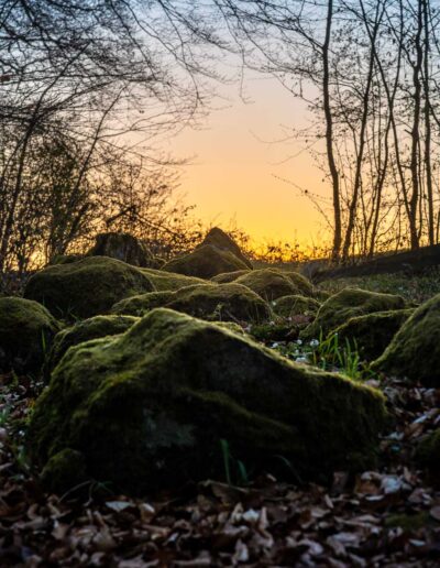 Kurz vor Sonnenaufgang an der Astronomisch-Kalendarische Steinsetzung Westerwald am 7. April 2026