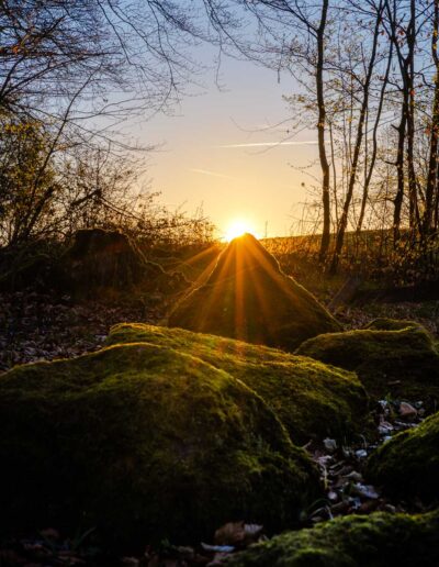 Die Sonne geht am 7. April genau an der Spitze der ausgelegten Basaltsteine an der Steinsetzung in Wölferlingen auf.