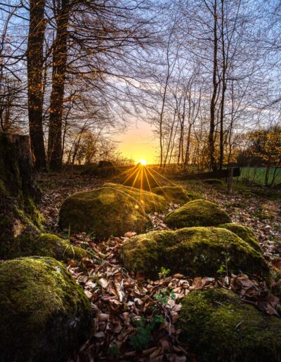 Sonnenaufgang an der Astronomisch-Kalendarische Steinsetzung Westerwald