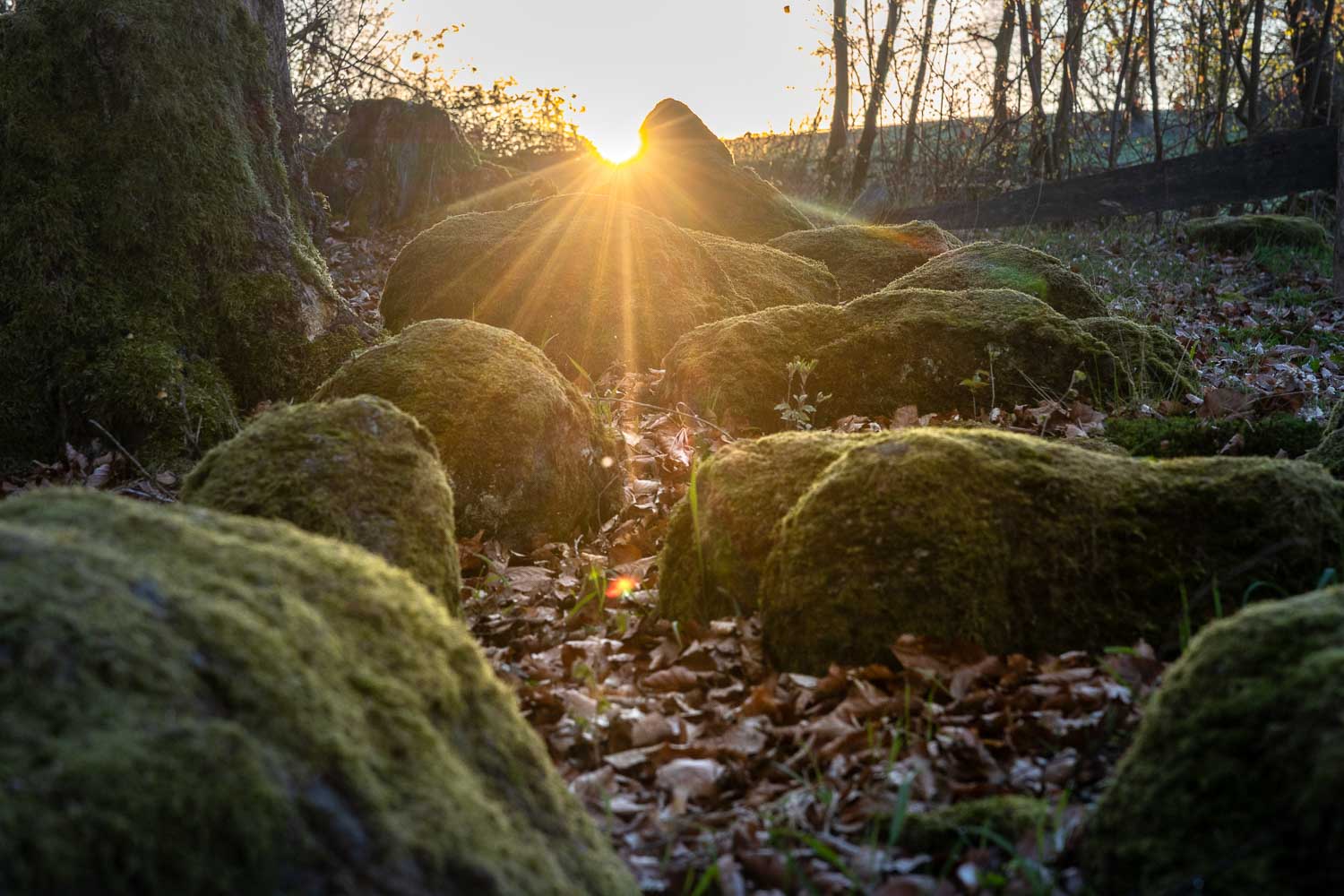 Sonnenaufgang an der Astronomisch-Kalendarische Steinsetzung Westerwald
